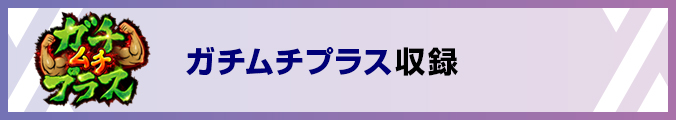 ガチムチプラス